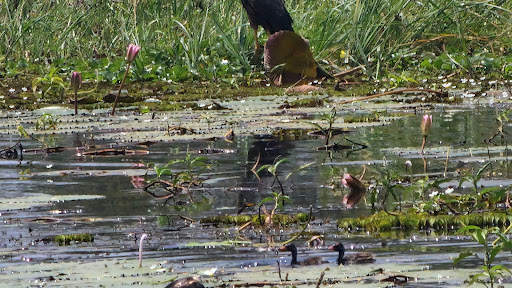 Stausee Steinberg - Visual