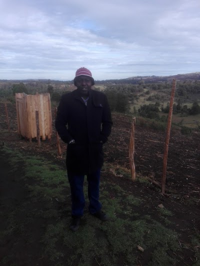 Photos of Tembu Forest