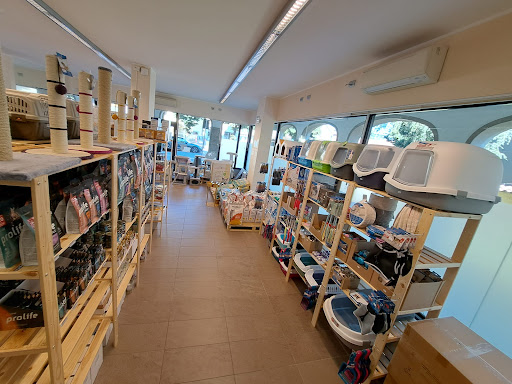 La Maison du Chat shop