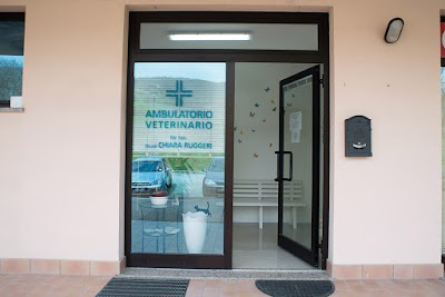 Ambulatorio Veterinario Dr.ssa Chiara Ruggeri Serra San Quirico