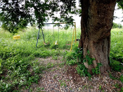 park