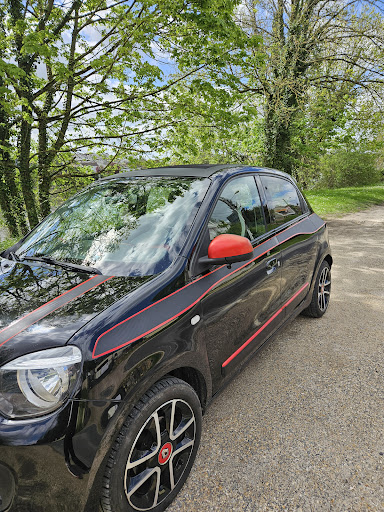 Auto Clean by Flo