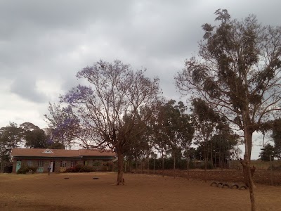 school