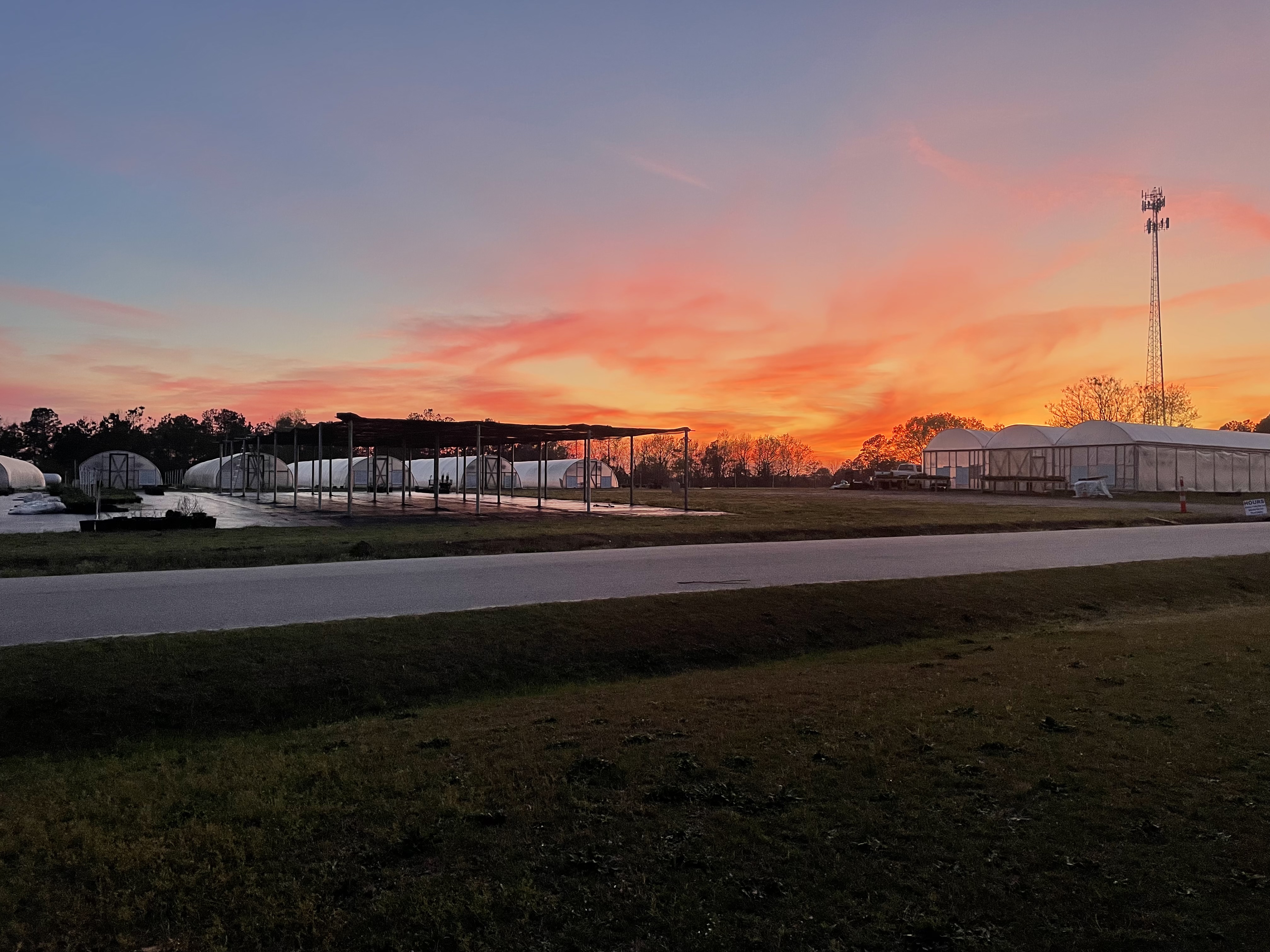 B's Greenhouses