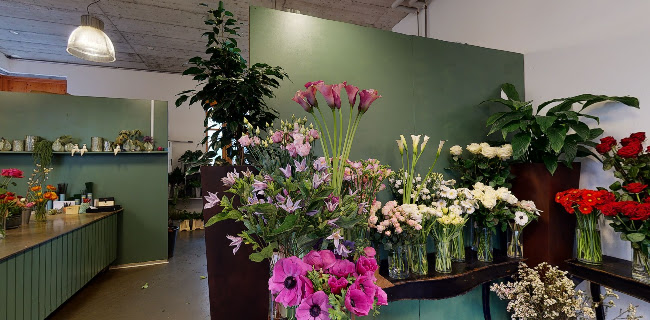 http://www.blumenparadies.ch/?y_source=1_MTE1OTk0MzAtNzE1LWxvY2F0aW9uLndlYnNpdGU%3D
