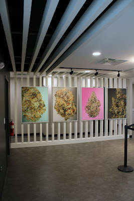 Photo of Smyth Cannabis Co. | Framingham