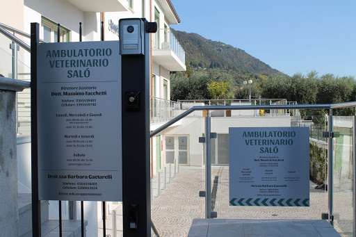 Ambulatorio Veterinario Salò Dr.ssa Barbara Gaetarelli Osteopatia Veterinaria - Thumbnail