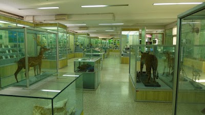 Photos of Beijing University of Chinese Medicine