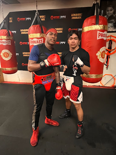 Brick3 boxing - Thumbnail