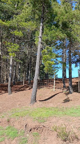 Opiniones de Laguna El Perro en Pichilemu - Camping