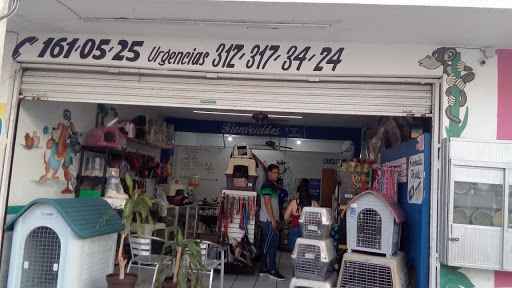 Estética canina Dr Mario