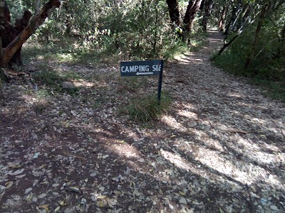 Photos of Collingham Gardens