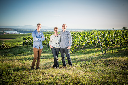 Weingut Sander GbR