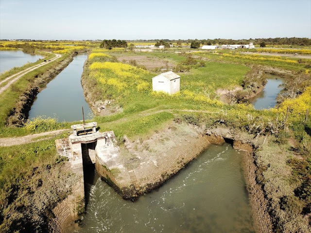 Cultimar La Ferme des Baleines