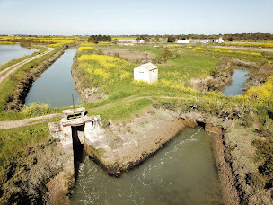 Photo n°18 de La Ferme des Baleines à Saint-Clément-des-Baleines (Élevage de crevettes)