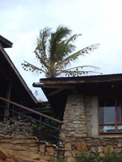 lodging