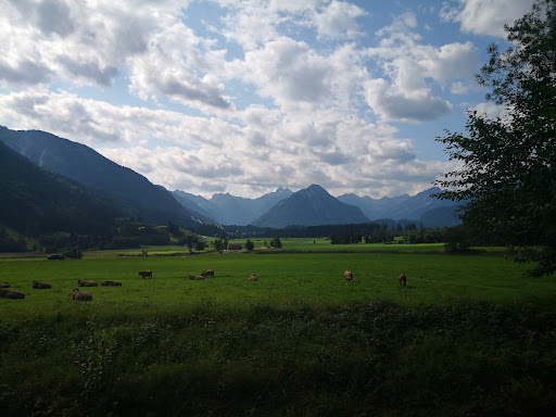 Rubistufe - Visual