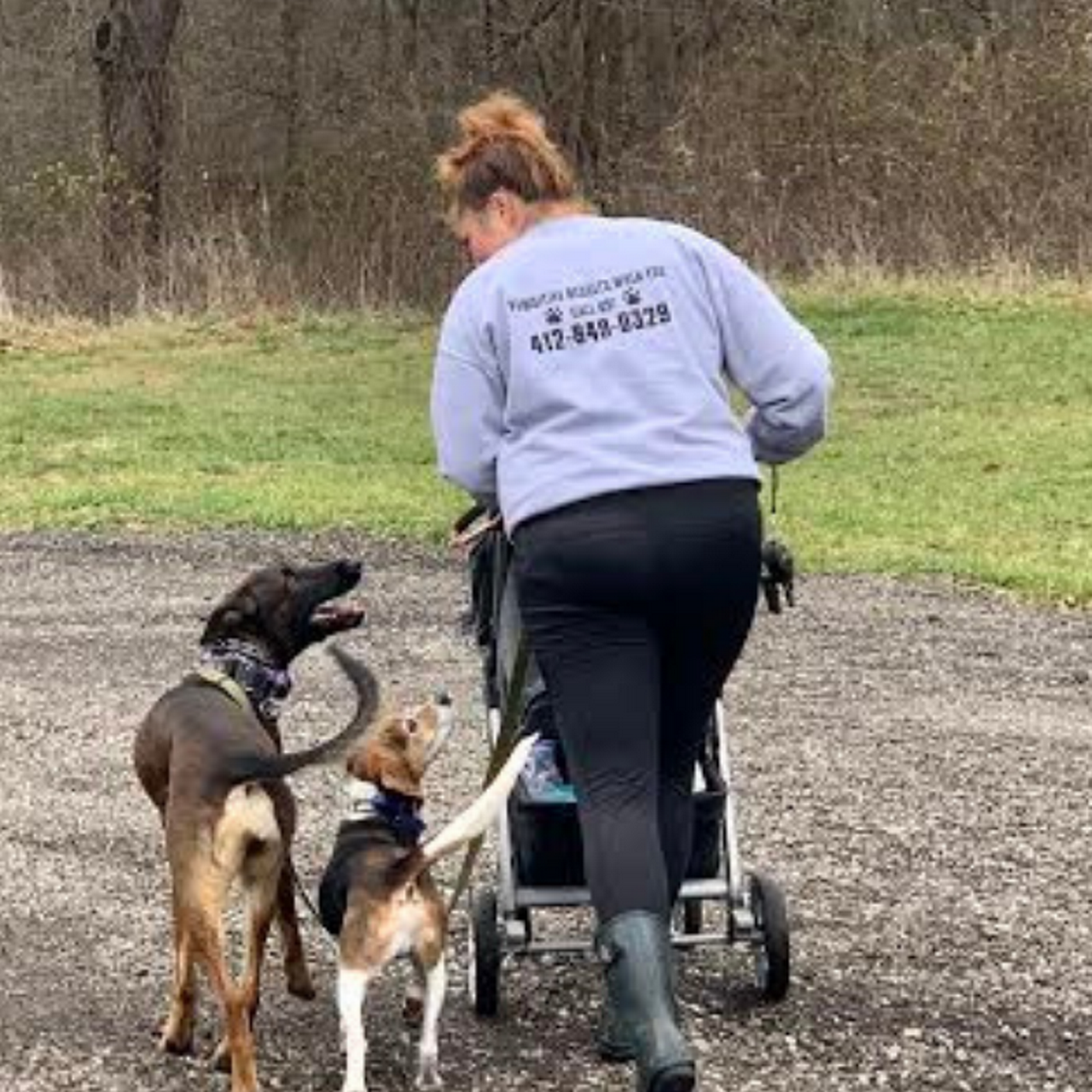 Pawsitive K9 Behavior School Dog Trainer in Pittsburgh