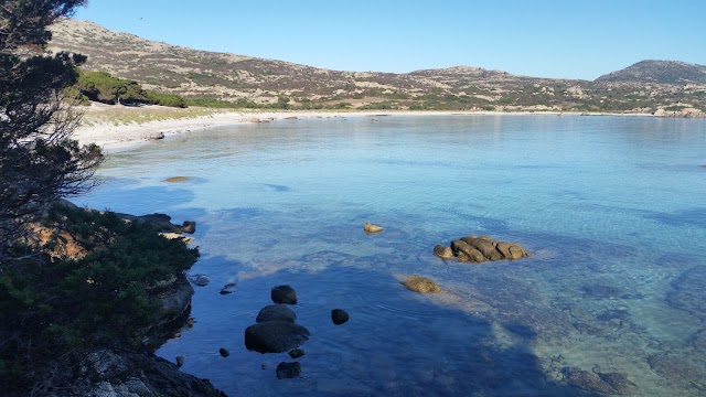 Asinara