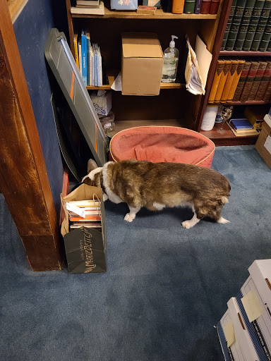 Blue Whale Books - Thumbnail