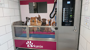Photo n°6 de Arkanin à Lusignan (Toiletteur)