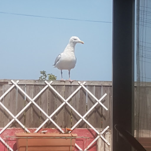 Photo de PUV Résidence de la Sarre - Groupe VYV à Pluméliau (56930)