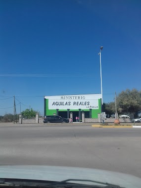 Ministerio Aguilas Reales (Iglesia), Author: ANDREA LIPPAY