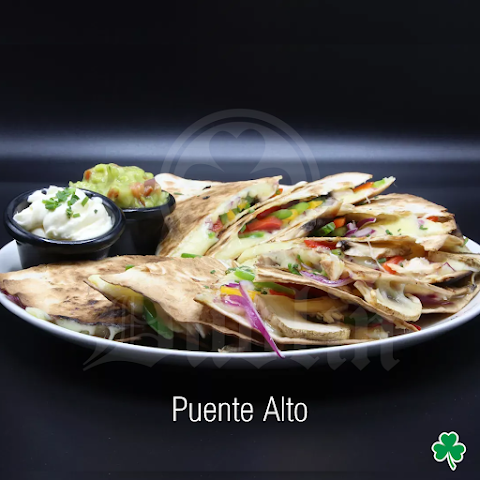 Dublin Chile - Puente Alto by null