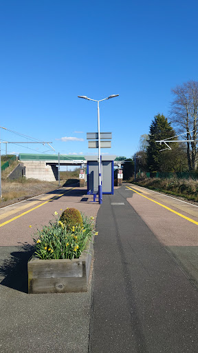 Salwick - Visual