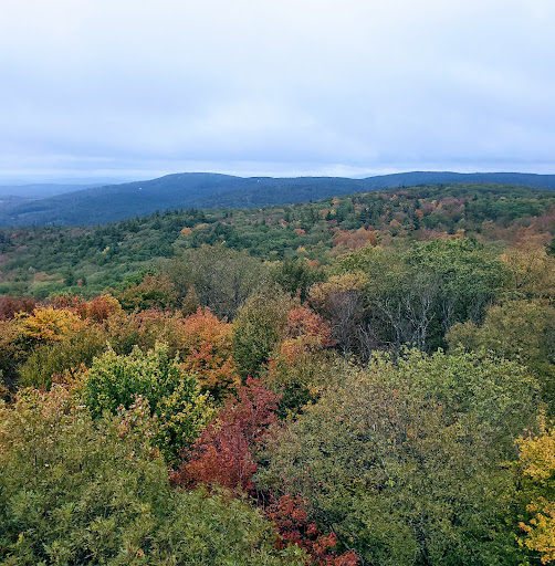 Beebe Hill State Forest
