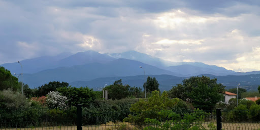 Photo de CAJOU du BOULOU à Tresserre (66300)
