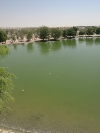 Photos of Qudra Lakes