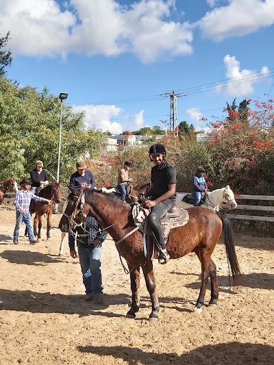 Photos of Dubi Farm