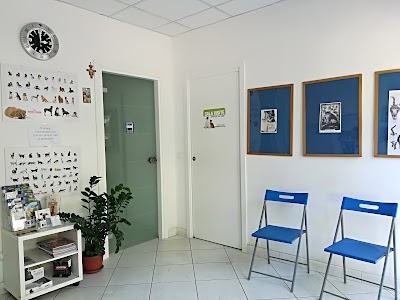 Photos of CLINICA VETERINARIA L'AIRONE- Cecchini - Gomiero - Ondedei- Pierin