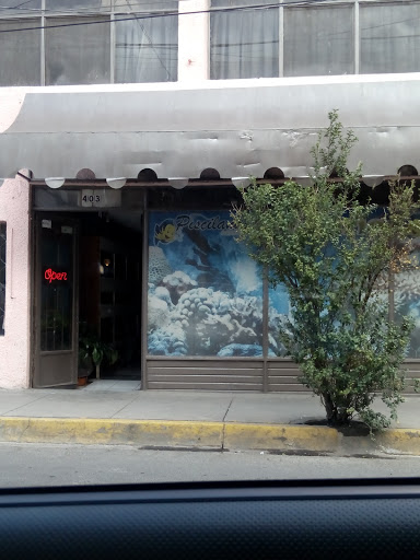 Piscilandia - Visual