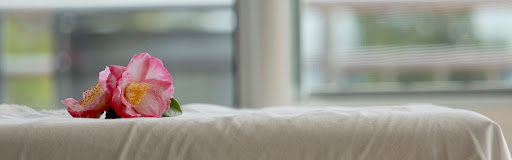 Deep Tissue Massage School Gallery - New Zealand
