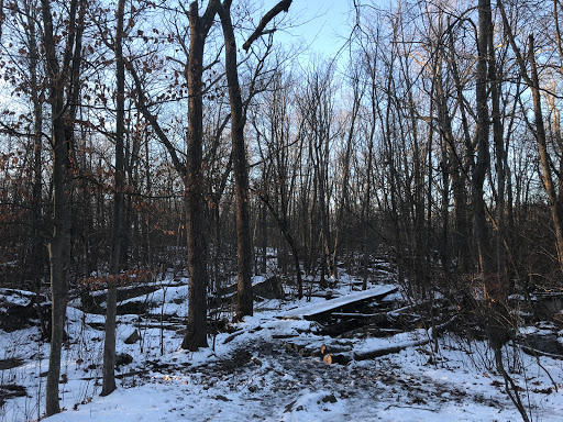 Hammond Pond Trail - Parking