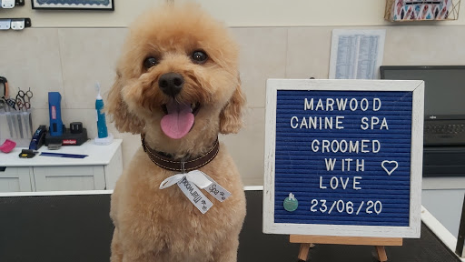 Marwood Canine Spa