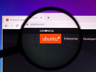 set up a bulk email server