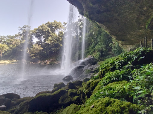 Cascada Misol Ha Gallery - Mexico