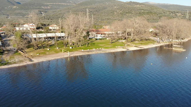 ΠΙΘΑΡΙ - Αγρίνιο