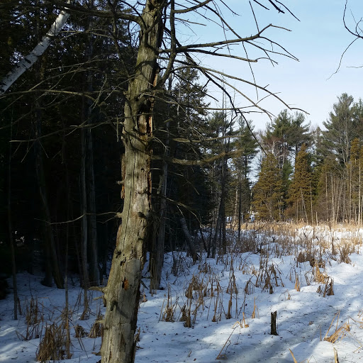 Bear Creek Eco Park - Thumbnail
