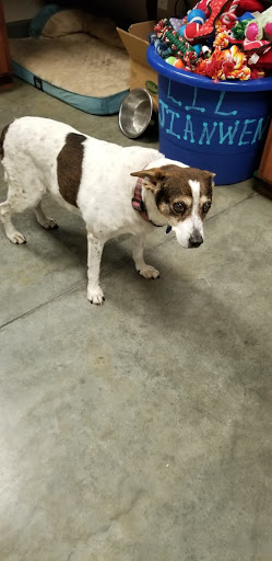 Columbus-Lowndes Humane Society - Thumbnail