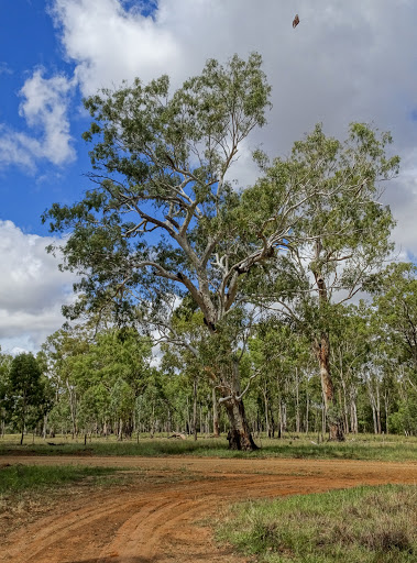 Bunyip Hole - Visual