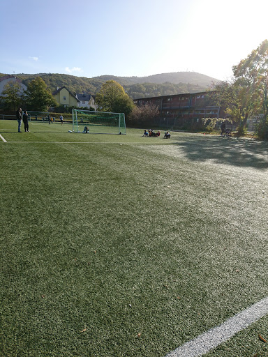 FC Alsbach e.V. - Visual