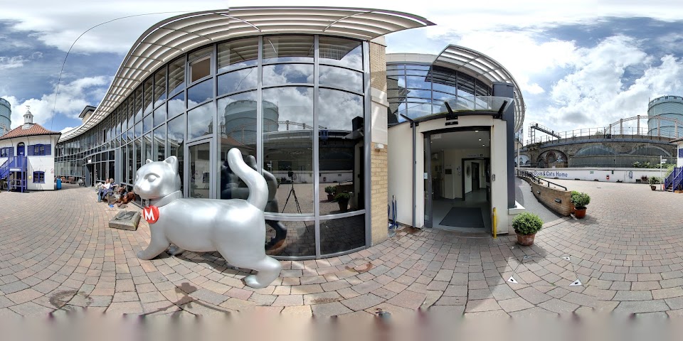 Battersea Dogs and Cats Home by null