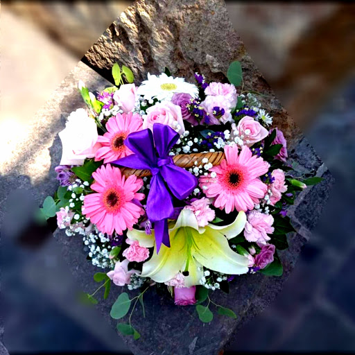 ''Floreria'' - Visual