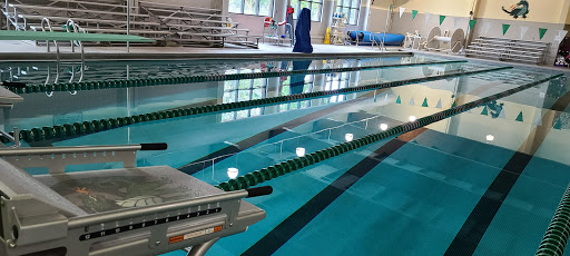 Percy Walker Pool - Visual