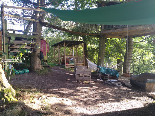 Copse Camp - Visual