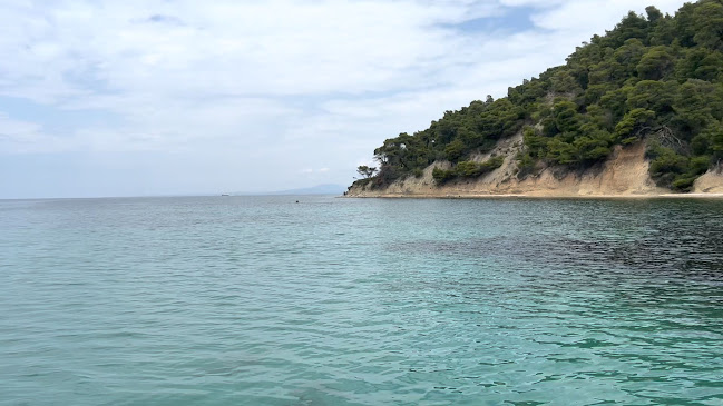 Comentarii opinii despre SEAvery Scuba Diving & Water Sports | Kassandra